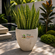 Amphora medium concrete flower pot. - Image 2