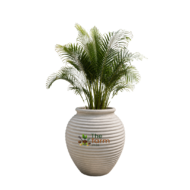 Small Ribbed Amphora planter. - Image 2