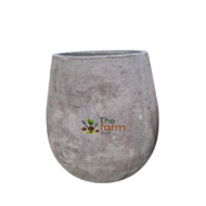 Anjara medium concrete flower pot.