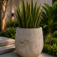 Anjara medium concrete flower pot. - Image 2