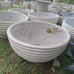 Ribbed hemisphere concrete planter perfect for palm trees and cycads.