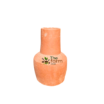 Nyati small terracoat clay flower pot.